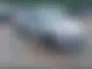 Vehicle Image- 2021 Hyundai Accent