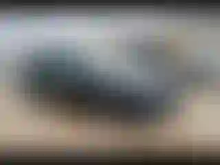 Vehicle Image- 2020 Kia Forte