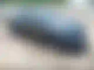 Vehicle Image- 2023 Kia Forte