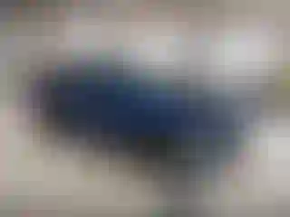 Vehicle Image- 2024 Kia Forte
