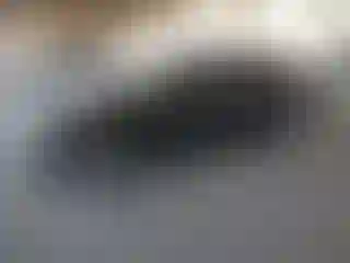 Vehicle Image- 2020 Kia Forte