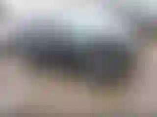 Vehicle Image- 2021 Kia Forte