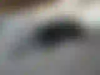 Vehicle Image- 2019 Kia Forte