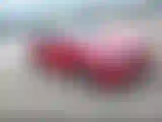 Vehicle Image- 2024 Kia Forte
