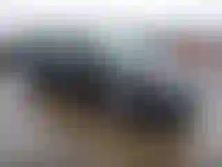 Vehicle Image- 2023 Kia Forte