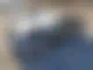 Vehicle Image- 2023 Kia Forte
