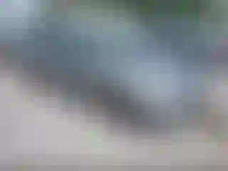 Vehicle Image- 2024 Kia Forte