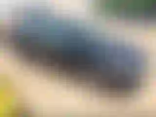 Vehicle Image- 2020 Kia Forte