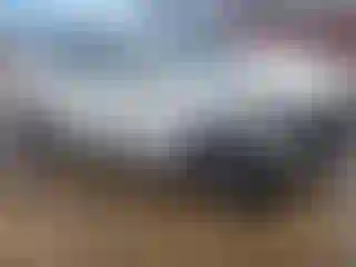 Vehicle Image- 2021 Kia Forte