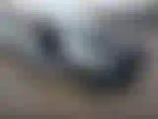 Vehicle Image- 2019 Kia Forte