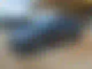 Vehicle Image- 2022 Kia Forte