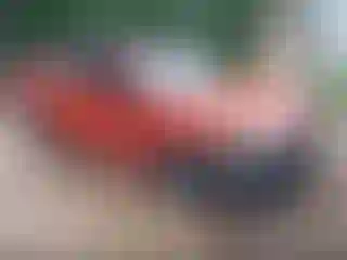 Vehicle Image- 2020 Kia Forte