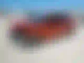 Vehicle Image- 2021 Kia Forte