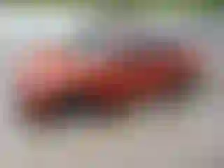 Vehicle Image- 2021 Kia Forte