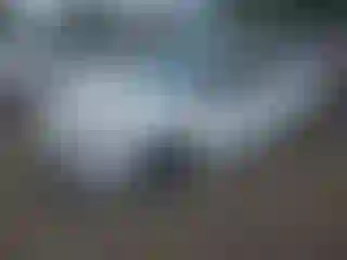 Vehicle Image- 2023 Kia Forte