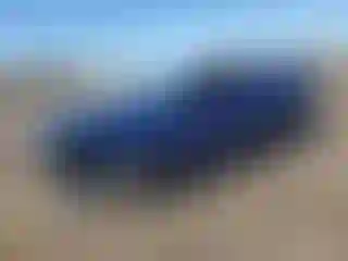 Vehicle Image- 2021 Kia Forte