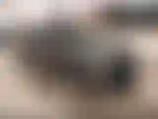 Vehicle Image- 2023 Kia Forte