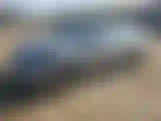 Vehicle Image- 2024 Kia Forte