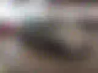 Vehicle Image- 2023 Kia Forte