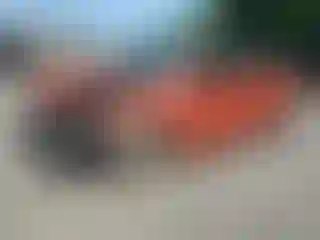 Vehicle Image- 2023 Kia Forte