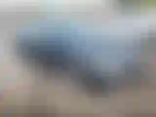 Vehicle Image- 2023 Kia Forte