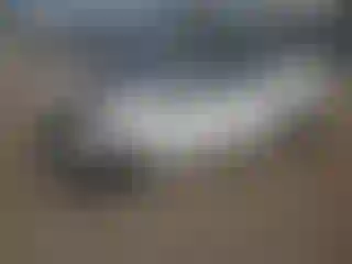 Vehicle Image- 2023 Kia Forte