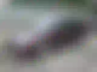 Vehicle Image- 2017 Kia Forte