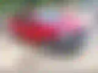 Vehicle Image- 2017 Kia Forte