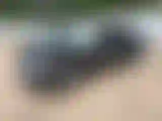 Vehicle Image- 2025 Kia Telluride