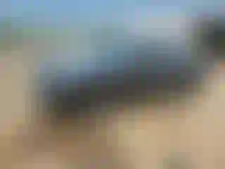 Vehicle Image- 2025 Kia Telluride