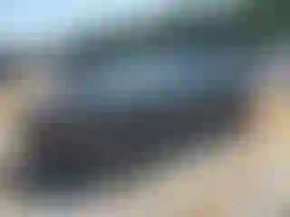 Vehicle Image- 2025 Kia Telluride