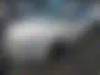 Vehicle Image- 2020 Lincoln MKZ