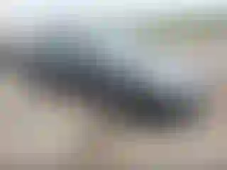 Vehicle Image- 2010 Lincoln MKZ