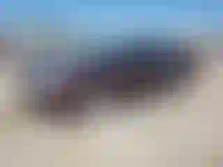 Vehicle Image- 2011 Lincoln MKZ