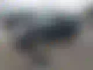 Vehicle Image- 2008 Lincoln MKZ