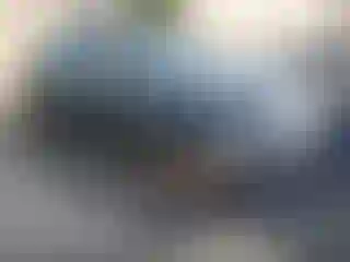 Vehicle Image- 2023 BMW Seria 3
