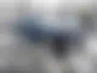 Vehicle Image- 2024 BMW Seria 3