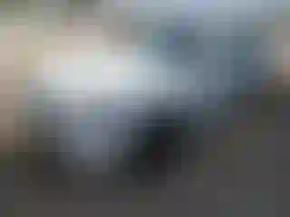 Vehicle Image- 2021 BMW Seria 3