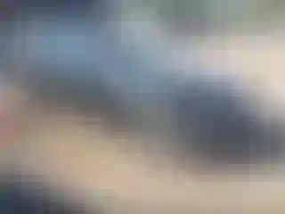 Vehicle Image- 2020 BMW Seria 3