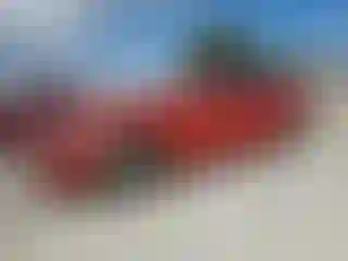 Vehicle Image- 2020 BMW Seria 3