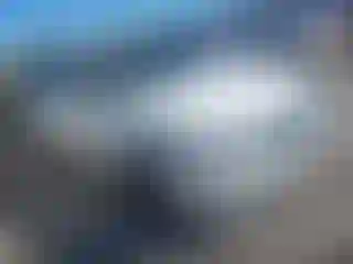 Vehicle Image- 2021 BMW Seria 3