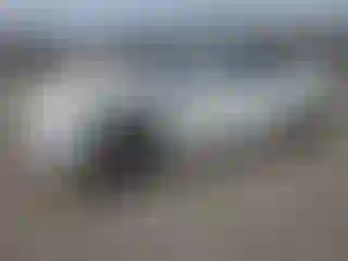 Vehicle Image- 2021 BMW Seria 3