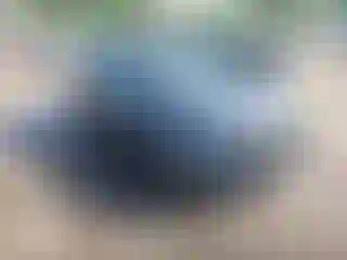 Vehicle Image- 2022 BMW Seria 3