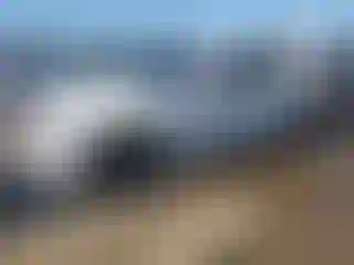 Vehicle Image- 2020 BMW Seria 3