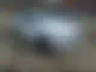 Vehicle Image- 2022 BMW Seria 3