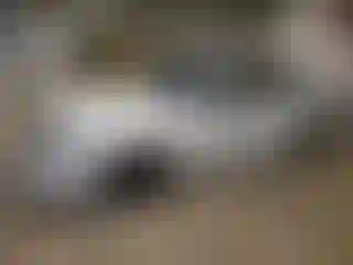 Vehicle Image- 2025 BMW Seria 3