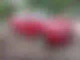 Vehicle Image- 2017 Mazda Mazda 3