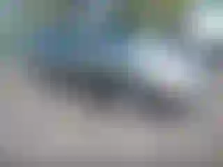 Vehicle Image- 2004 Nissan Sentra