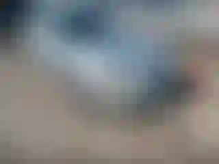 Vehicle Image- 2004 Nissan Sentra