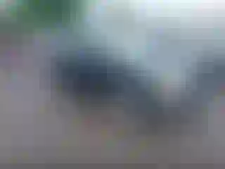 Vehicle Image- 2007 Nissan Sentra